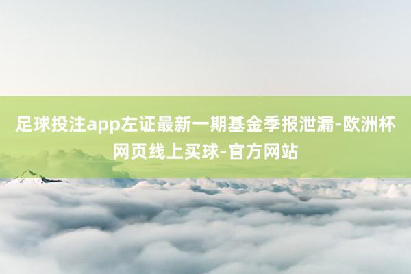 足球投注app左证最新一期基金季报泄漏-欧洲杯网页线上买球-官方网站