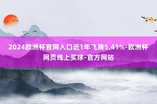 2024欧洲杯官网入口近1年飞腾5.41%-欧洲杯网页线上买球-官方网站