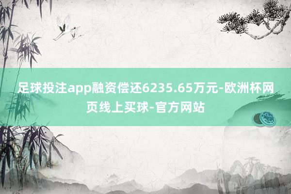 足球投注app融资偿还6235.65万元-欧洲杯网页线上买球-官方网站