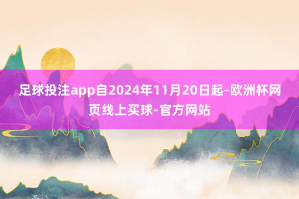 足球投注app自2024年11月20日起-欧洲杯网页线上买球-官方网站