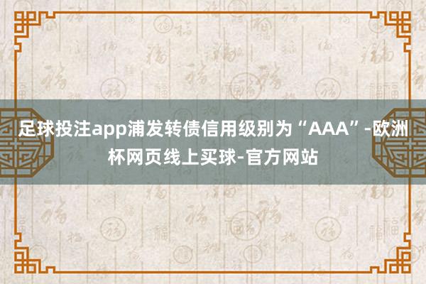 足球投注app浦发转债信用级别为“AAA”-欧洲杯网页线上买球-官方网站