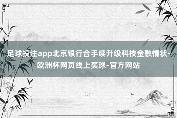 足球投注app北京银行合手续升级科技金融情状-欧洲杯网页线上买球-官方网站