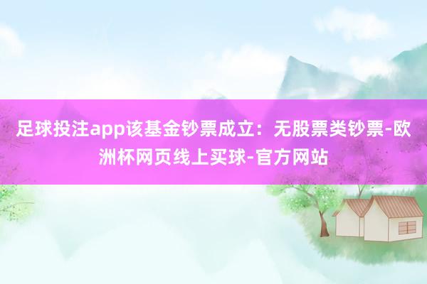 足球投注app该基金钞票成立：无股票类钞票-欧洲杯网页线上买球-官方网站