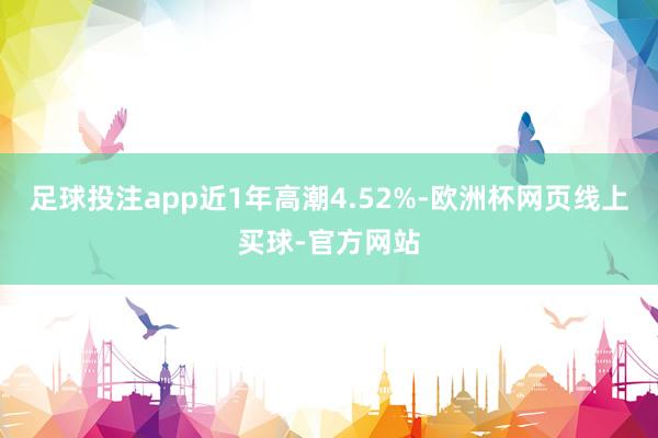 足球投注app近1年高潮4.52%-欧洲杯网页线上买球-官方网站