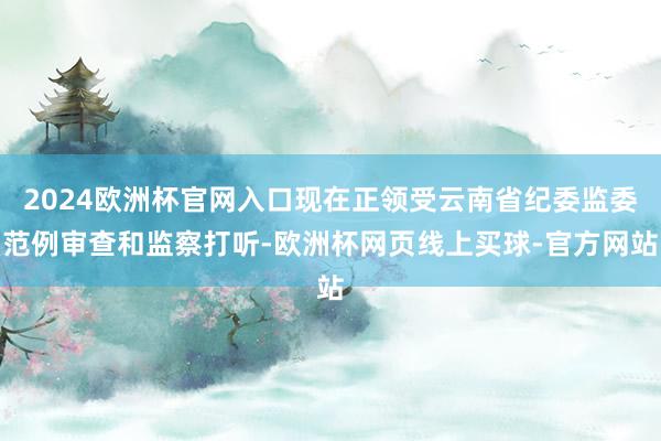 2024欧洲杯官网入口现在正领受云南省纪委监委范例审查和监察打听-欧洲杯网页线上买球-官方网站