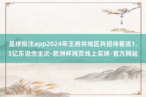 足球投注app2024年王府井地区共招待客流1.3亿东说念主次-欧洲杯网页线上买球-官方网站