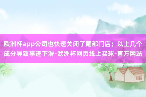 欧洲杯app公司也快速关闭了尾部门店；以上几个成分导致事迹下滑-欧洲杯网页线上买球-官方网站