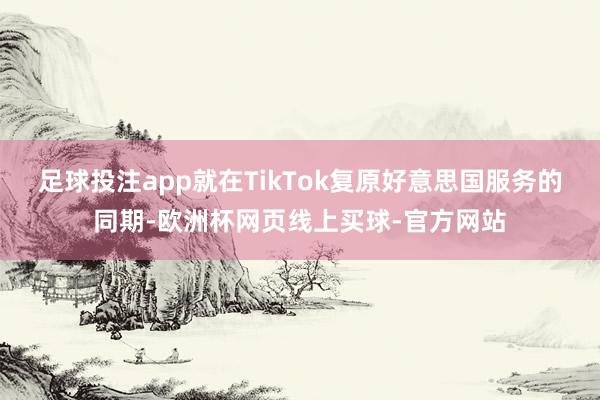 足球投注app就在TikTok复原好意思国服务的同期-欧洲杯网页线上买球-官方网站