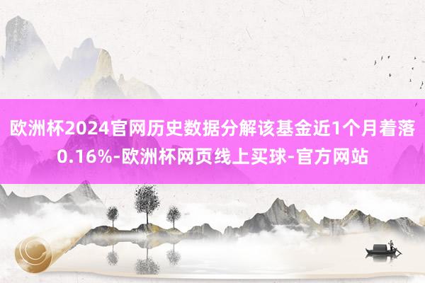 欧洲杯2024官网历史数据分解该基金近1个月着落0.16%-欧洲杯网页线上买球-官方网站