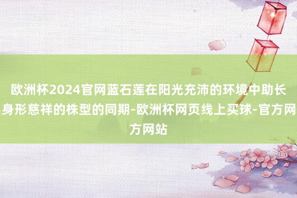 欧洲杯2024官网蓝石莲在阳光充沛的环境中助长出身形慈祥的株型的同期-欧洲杯网页线上买球-官方网站